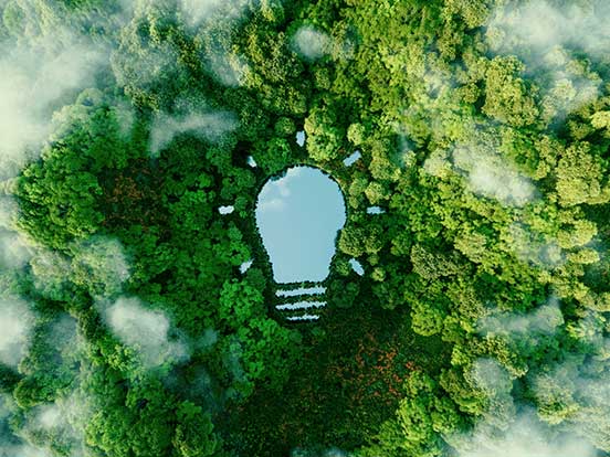 Light bulb shaped lake in forest
