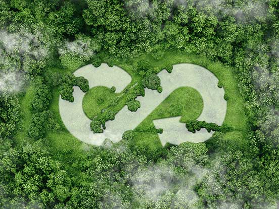 Sustainability sign shaped feature in forest